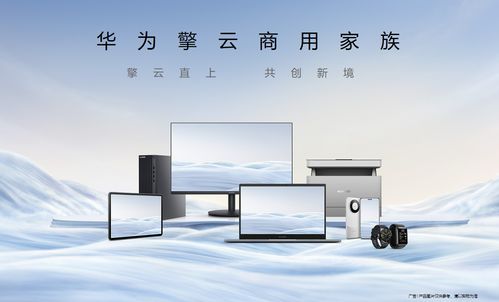 華為擎云亮相2024數(shù)博會(huì)，首發(fā)“中國(guó)行”建筑材料解決方案